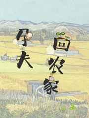 孕夫回农家
