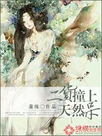 二货撞上天然呆