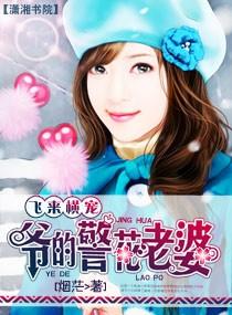 飞来横宠:爷的警花老婆
