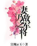 妻乃敌军之将