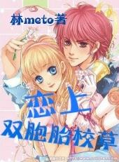 双胞胎校草的女佣情人