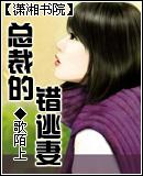 总裁的错逃妻