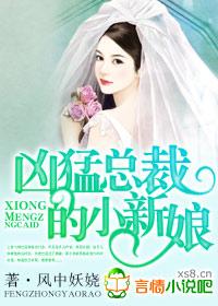 凶猛总裁的小新娘