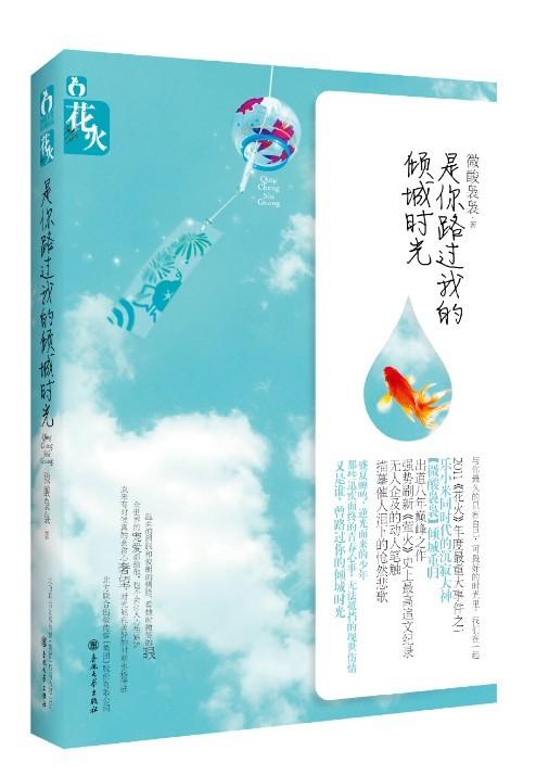 是你路过我的倾城时光