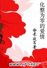 化整为零的爱情