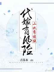 代嫁有风险,二次需谨慎 完结+番外