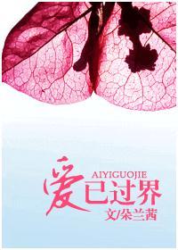 爱已过界