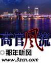 高官风流
