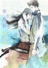 橄榄树