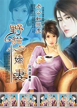 野猫小娇妻