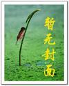 主人的奴隶宠物